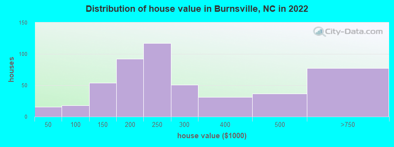 Distribution of house value in Burnsville, NC in 2019