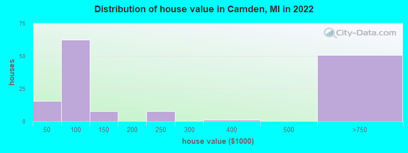 Distribution of house value in Camden, MI in 2019