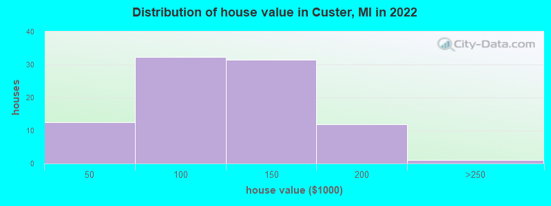 Distribution of house value in Custer, MI in 2019