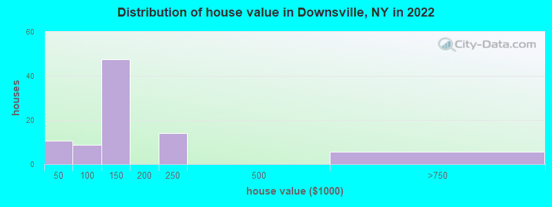 Distribution of house value in Downsville, NY in 2022