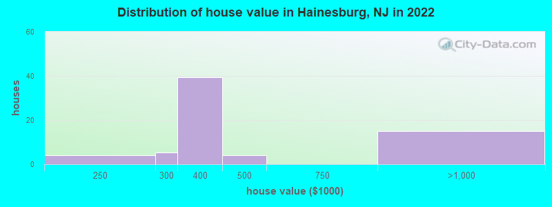 Distribution of house value in Hainesburg, NJ in 2022