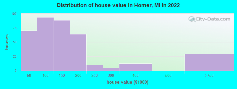 Distribution of house value in Homer, MI in 2019