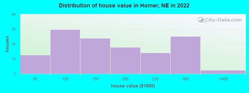 Distribution of house value in Homer, NE in 2022