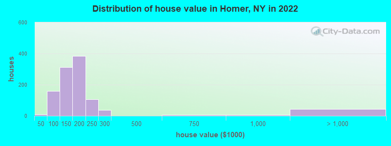 Distribution of house value in Homer, NY in 2022