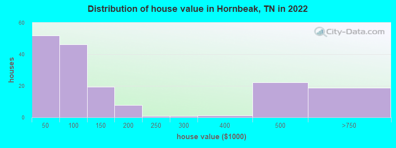 Distribution of house value in Hornbeak, TN in 2021