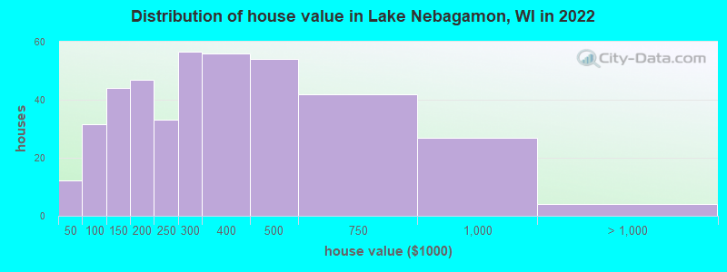 Distribution of house value in Lake Nebagamon, WI in 2022