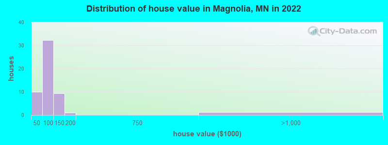 Distribution of house value in Magnolia, MN in 2019