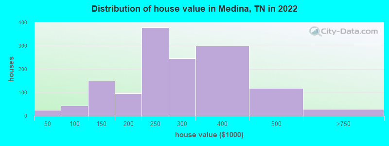 Distribution of house value in Medina, TN in 2019