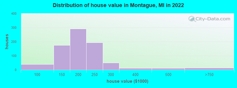 Distribution of house value in Montague, MI in 2022