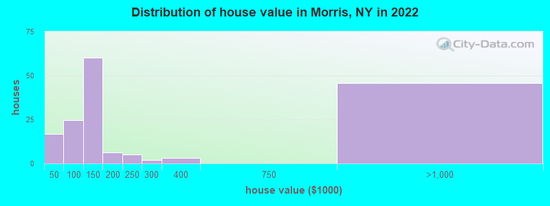 Distribution of house value in Morris, NY in 2022