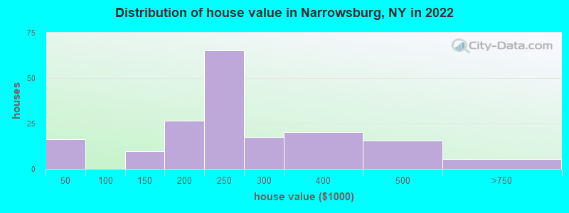 Distribution of house value in Narrowsburg, NY in 2022