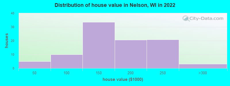 Distribution of house value in Nelson, WI in 2022
