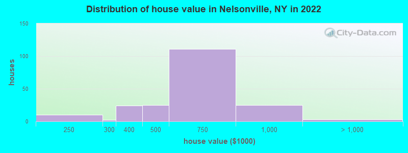 Distribution of house value in Nelsonville, NY in 2022