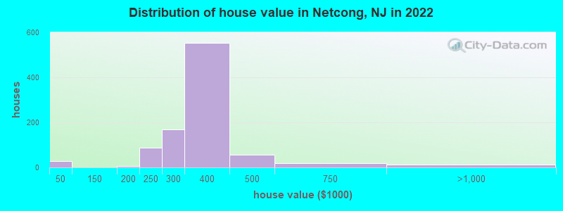 Distribution of house value in Netcong, NJ in 2022