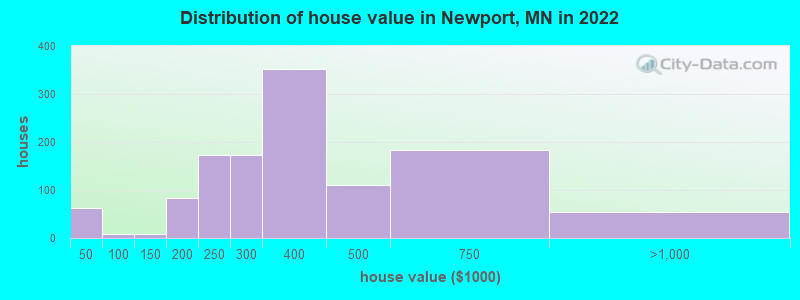 Distribution of house value in Newport, MN in 2019