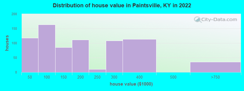 Distribution of house value in Paintsville, KY in 2019