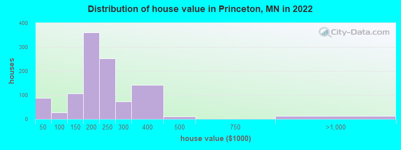 Distribution of house value in Princeton, MN in 2022