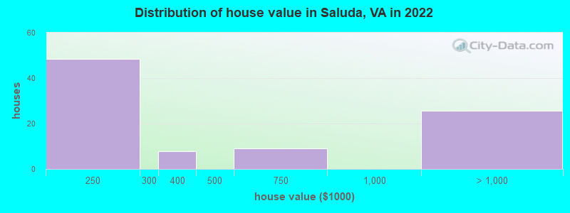 Distribution of house value in Saluda, VA in 2022