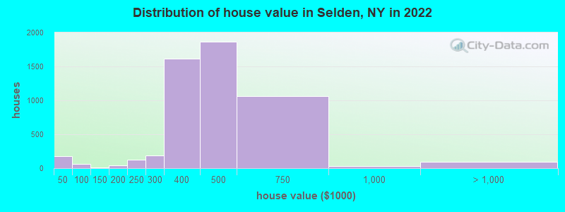 Distribution of house value in Selden, NY in 2022