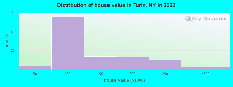 Distribution of house value in Turin, NY in 2022