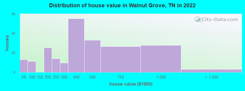 Distribution of house value in Walnut Grove, TN in 2019