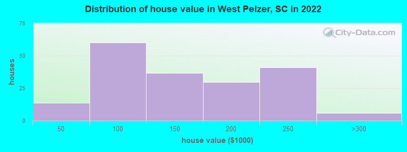 Distribution of house value in West Pelzer, SC in 2022