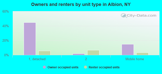 Owners and renters by unit type in Albion, NY