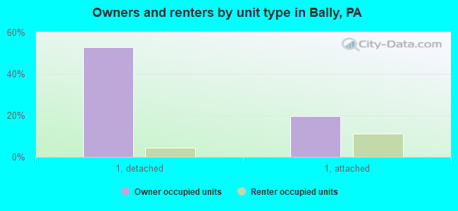 Owners and renters by unit type in Bally, PA