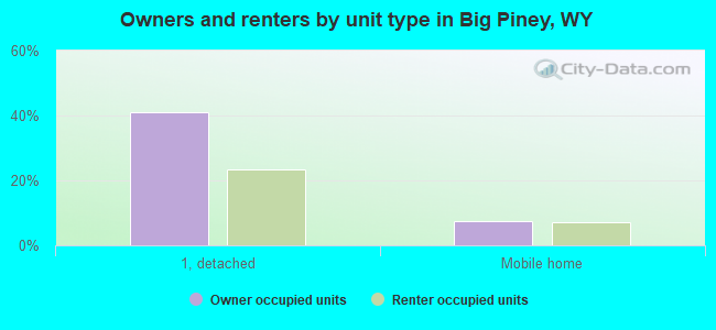 Owners and renters by unit type in Big Piney, WY