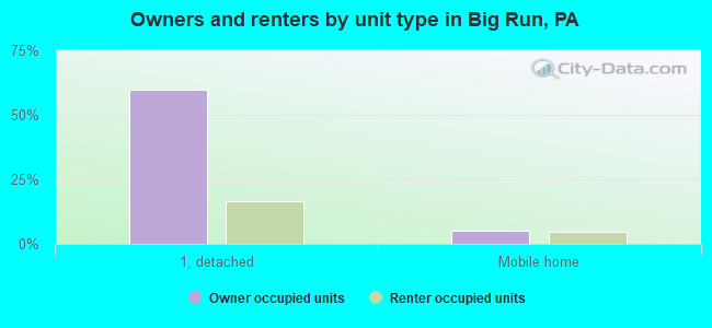 Owners and renters by unit type in Big Run, PA