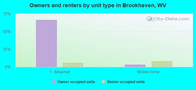 Owners and renters by unit type in Brookhaven, WV