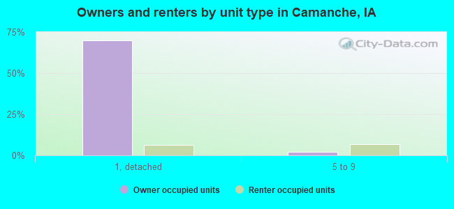 Owners and renters by unit type in Camanche, IA