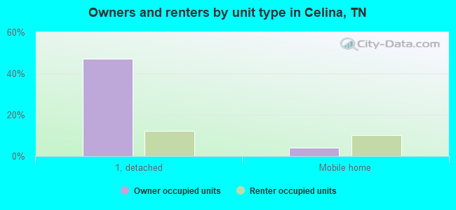 Owners and renters by unit type in Celina, TN