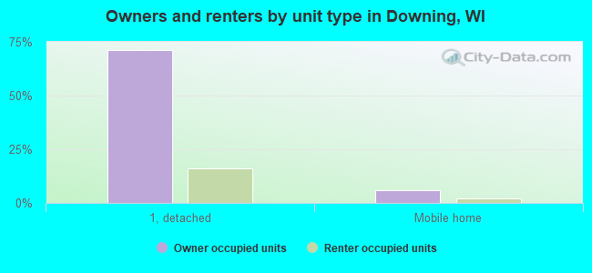Owners and renters by unit type in Downing, WI