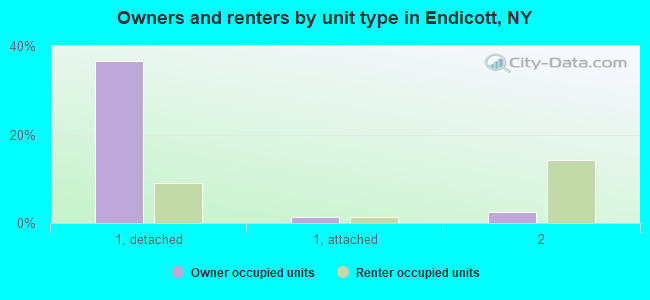 Owners and renters by unit type in Endicott, NY