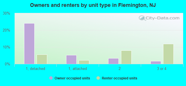 Owners and renters by unit type in Flemington, NJ