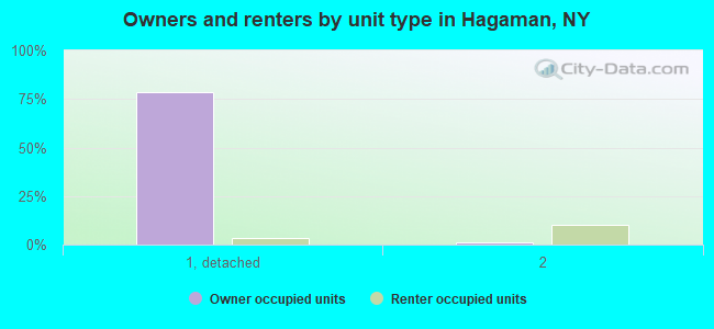Owners and renters by unit type in Hagaman, NY