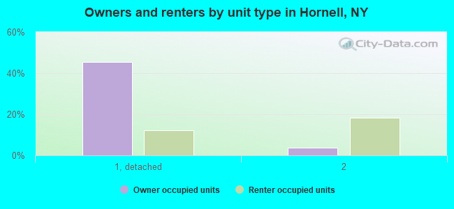 Owners and renters by unit type in Hornell, NY