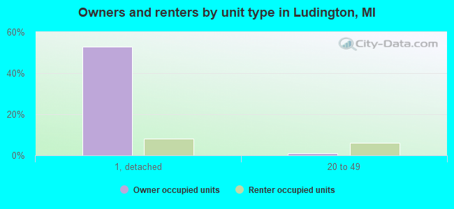 Owners and renters by unit type in Ludington, MI