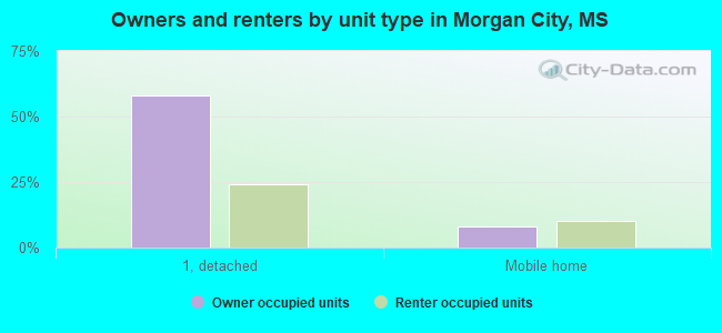 Owners and renters by unit type in Morgan City, MS