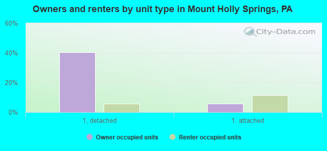 Owners and renters by unit type in Mount Holly Springs, PA