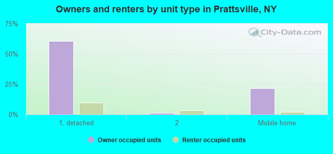 Owners and renters by unit type in Prattsville, NY
