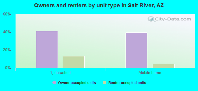 Owners and renters by unit type in Salt River, AZ