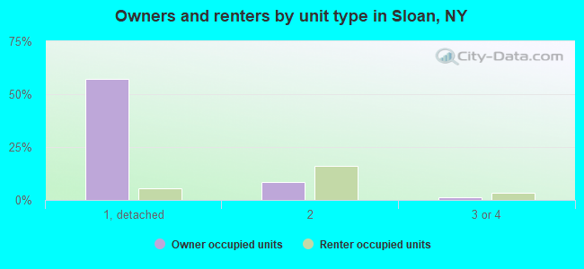 Owners and renters by unit type in Sloan, NY