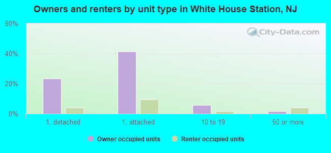 Owners and renters by unit type in White House Station, NJ