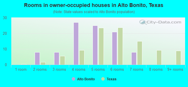 Rooms in owner-occupied houses in Alto Bonito, Texas