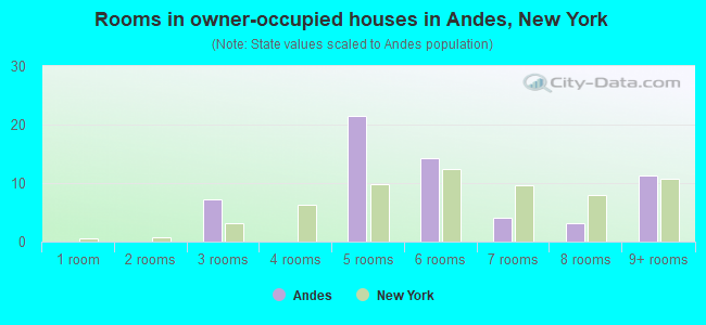 Rooms in owner-occupied houses in Andes, New York