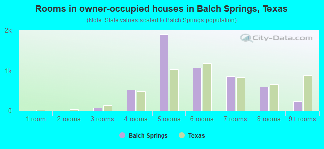 Rooms in owner-occupied houses in Balch Springs, Texas