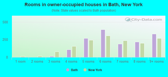 Rooms in owner-occupied houses in Bath, New York