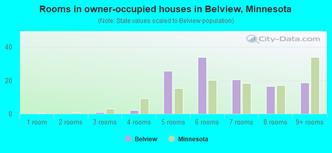 Rooms in owner-occupied houses in Belview, Minnesota